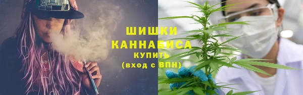 дживик Горняк