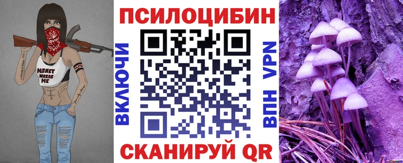 как найти закладки  Рыбинск  Псилоцибиновые грибы Magic Shrooms 